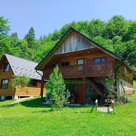 Villa Під Горою Sheshory Esterno foto