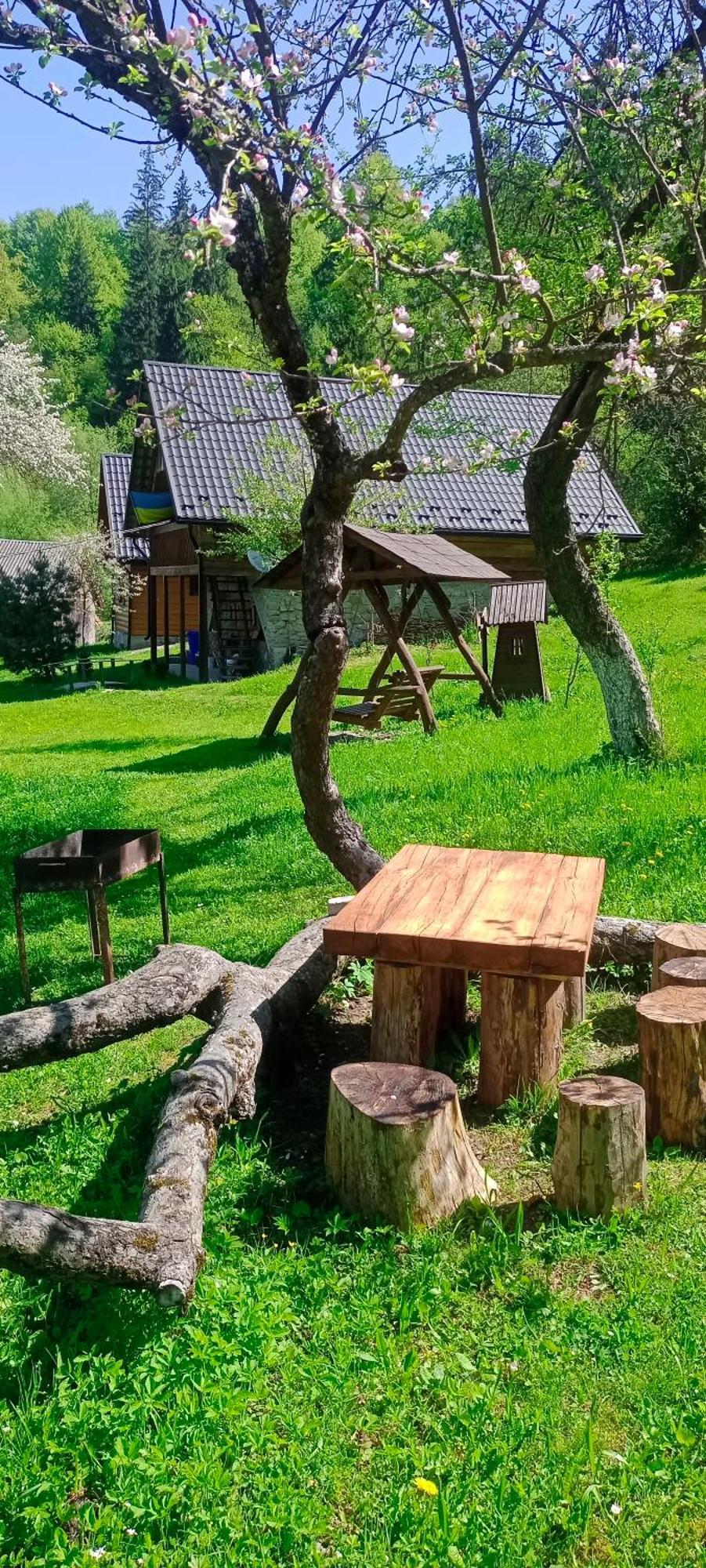 Villa Під Горою Sheshory Esterno foto